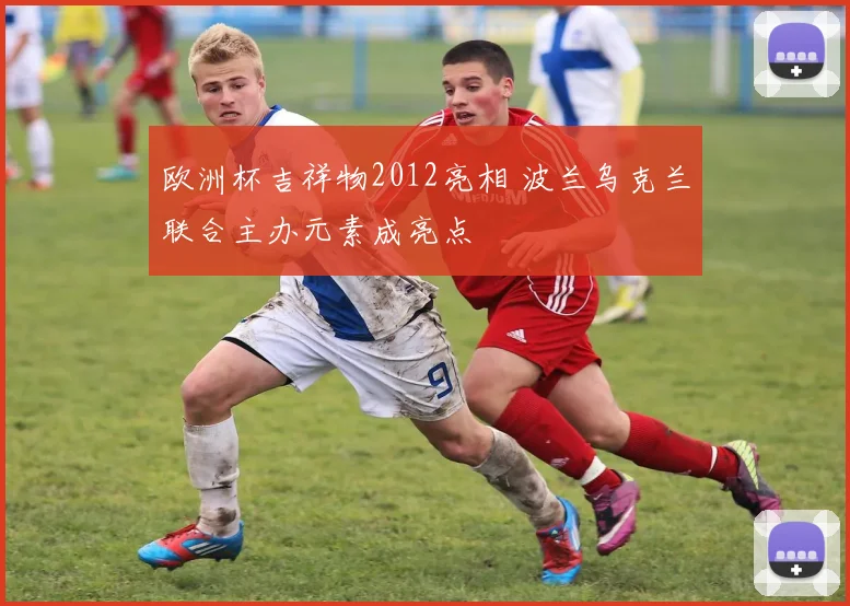 欧洲杯吉祥物2012亮相 波兰乌克兰联合主办元素成亮点
