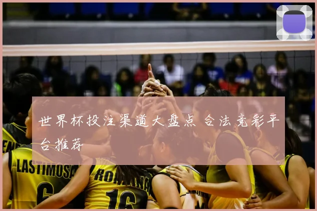 世界杯投注渠道大盘点 合法竞彩平台推荐