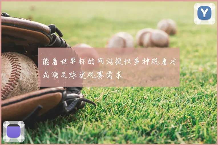 能看世界杯的网站提供多种观看方式满足球迷观赛需求