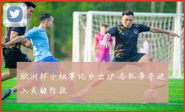 欧洲杯小组赛比分出炉 各队争夺进入关键阶段