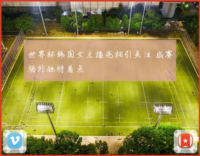 世界杯韩国女主播亮相引关注 成赛场外独特看点