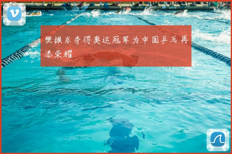 樊振东夺得奥运冠军为中国乒乓再添荣耀